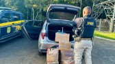 120 kg de maconha são apreendidos na BR 277