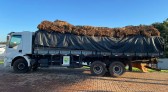 BPFRON apreende caminhão carregado de fumo