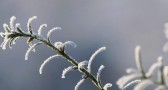 Ciclone em alto-mar causa ventos de até 80 km/h e mantém frio