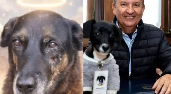 “De embrulhar o estômago”, diz Jorginho sobre assassinato do Orelha em Florianópolis