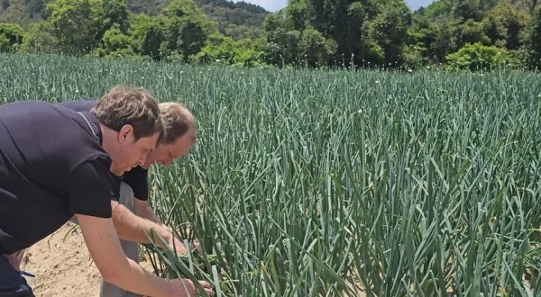 Safra Garantida SC reforça a proteção das lavouras em Santa Catarina