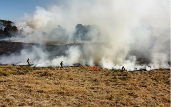 Atear fogo em lixo em terrenos baldios responde por mais de 30% dos incêndios