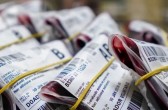 Com aumento na demanda, HEMOSC chama população para repor estoques de sangue