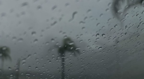 Santa Catarina registra primeira ocorrência de chuva preta no Oeste do estado