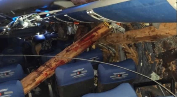 Doze pessoas morrem em acidente entre ônibus, van e caminhão que transportava eucalipto na BR-101