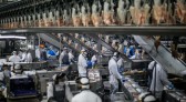 SC bate recorde com embarque de 55,7 mil toneladas de carne suína em janeiro