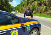 Número de motoristas flagrados alcoolizados no feriado é mais que o dobro do mesmo período de 2023