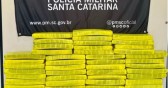 Policiais encontram 31,6 kg de maconha durante fiscalização em SC