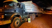 PM apreende carreta com alho descaminhado