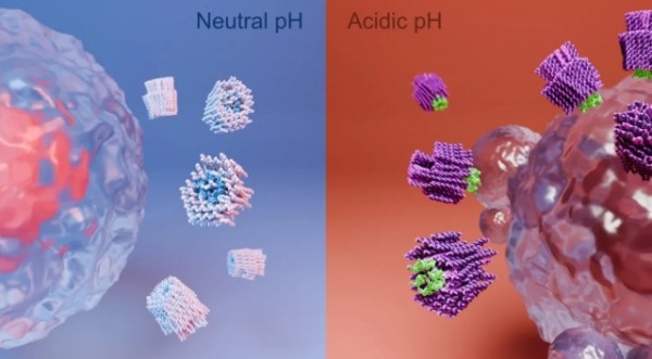 Cientistas desenvolvem nanorrobôs que podem “matar” células cancerígenas