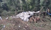 Caminhões despencam em ribanceira após colisão envolvendo três veículos