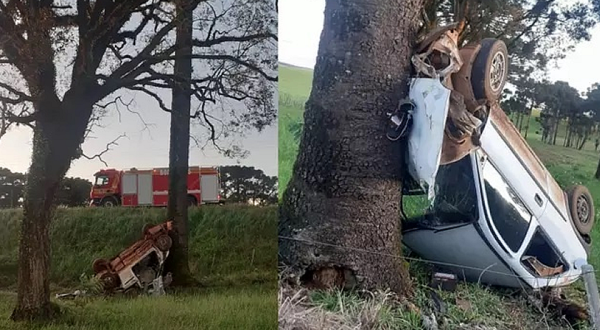 Carro capota, bate em árvore e jovem fica em estado grave