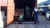 Receita Federal impede exportação ilegal de 25 toneladas de madeira nativa