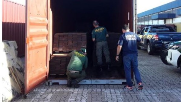 Receita Federal impede exportação ilegal de 25 toneladas de madeira nativa