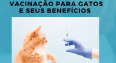 Doenças que acometem os nossos gatos