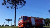 CBMSC alerta sobre cuidados na colheita do pinhão