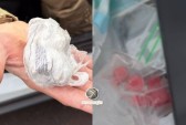 Homem é preso com cocaína e ecstasy após abordagem da PM na BR-282