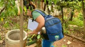 São Miguel do Oeste confirma os primeiros casos de dengue neste ano