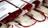 Estado realiza transporte de sangue raro em cabine de avião comercial