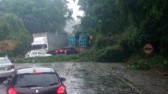 Pelo segundo dia consecutivo, temporais interditam BR-282 entre São Miguel do Oeste e Maravilha
