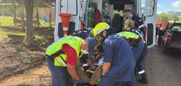 Galho se desprende durante corte de árvore e atinge trabalhador no interior