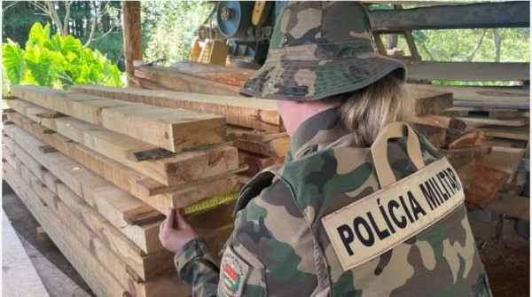 Polícia flagra serraria clandestina e apreende madeira ilegal na Serra Catarinense