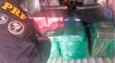 Homem é preso com mais de 300 kg de maconha dentro de furgão na BR-101