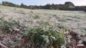 Geada transforma paisagem no município  e pontos da cidade registram -1°C