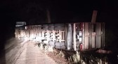 Caminhão carregado com suínos tomba e vários deles morrem