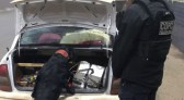 Polícia Civil prende homem que transportava mais de 27kg de maconha