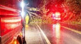 Bombeiros removem árvores caídas e liberam trecho da BR-158