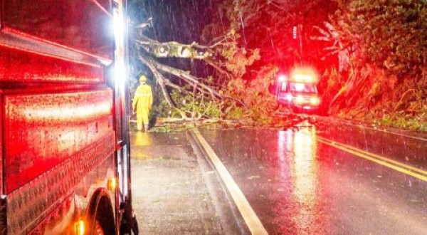 Bombeiros removem árvores caídas e liberam trecho da BR-158