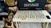 Adolescente é apreendido por tráfico de drogas em Chapecó