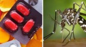 Posso tomar remédios se estiver com dengue? Confira medicamentos contraindicados