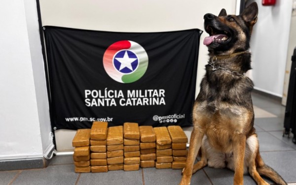 Drogas são encontradas em mala de adolescente em abordagem a ônibus