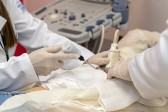Técnica inovadora apresenta 100% de eficácia contra o câncer de mama