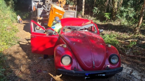 Árvore cai sobre fusca durante corte e três pessoas são socorridas pelo Corpo de Bombeiros