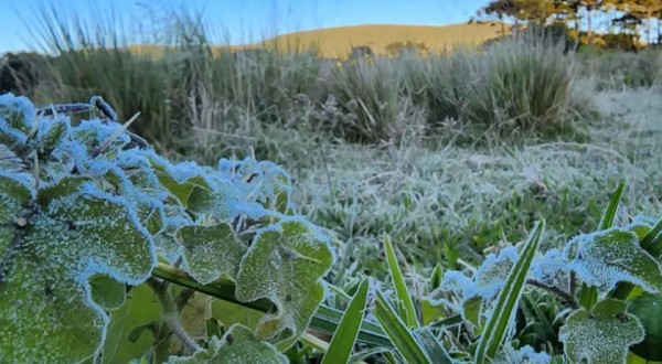 SC registra primeira temperatura negativa de 2022 e geada