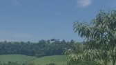 Força-tarefa busca por foragido em área de mata no interior