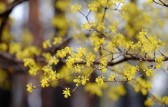 Primavera será marcada por chuvas mais frequentes em SC