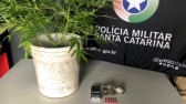 Mãe denuncia o próprio filho de 19 anos por tráfico de drogas em SC