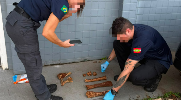 Ossada encontrada em Pinhalzinho não era humana, esclarece Polícia Civil