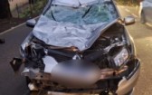 Carro colide com cavalo e deixa casal ferido na SC-283