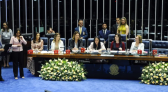 Senado terá maior bancada feminina da história após eleição de 12 mulheres