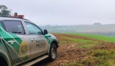 Polícia Militar do Paraná resgata mais de 200 animais e avança na proteção da Mata Atlântica