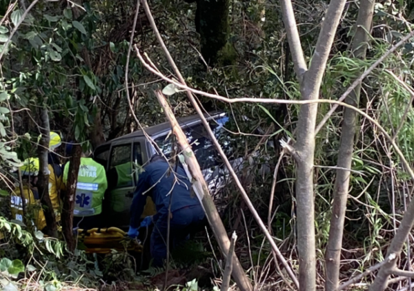 Idoso de 77 anos fica ferido após carro sair da pista e bater em árvore
