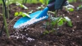 Análise biológica de solo incentiva agricultura regenerativa no Brasil