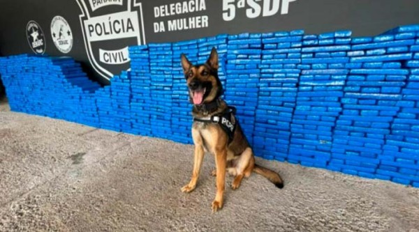 Motorista é preso com uma tonelada de maconha nos pneus do caminhão