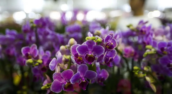 Primavera começa hoje (22), com a chegada de frente fria