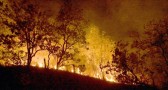 Incêndios causam prejuízos de mais de R$ 14 bilhões no campo